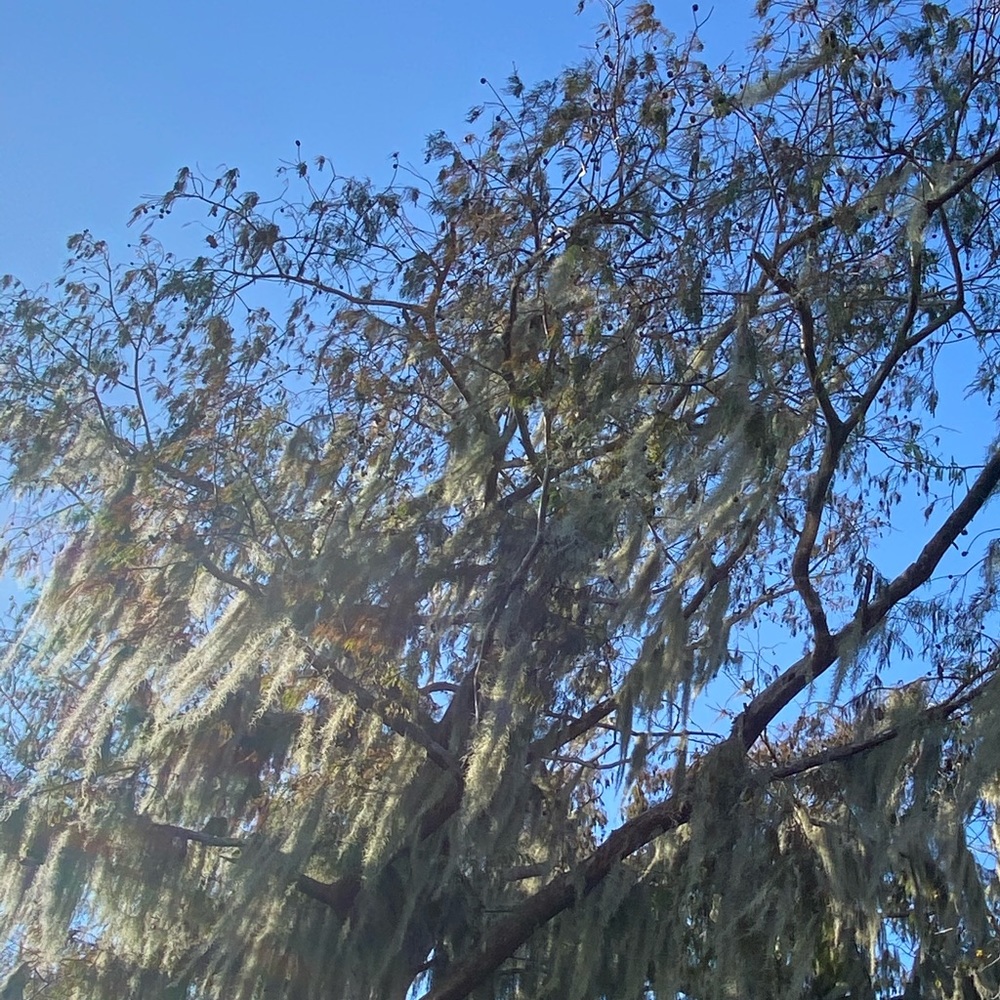 Meet your Posher, Alaina